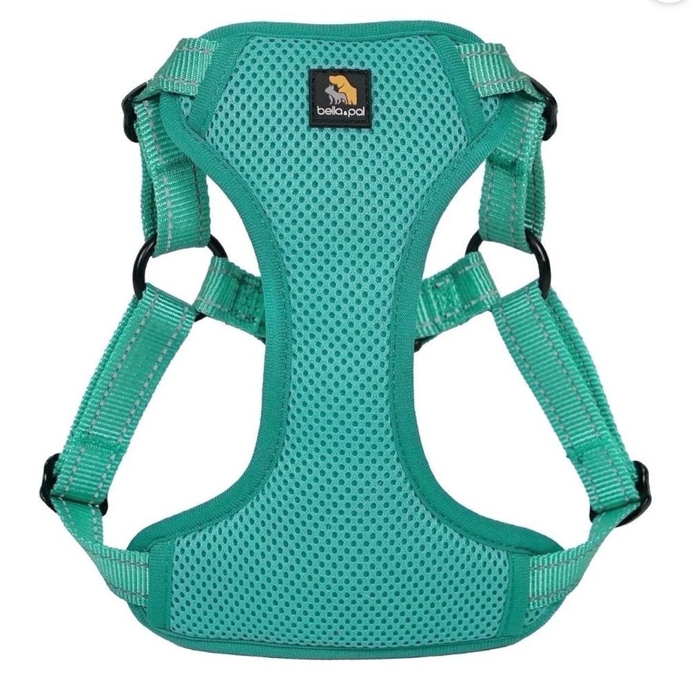 Bella Pet Teal Mesh Dog Harness